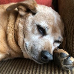 Meet your Posher, Annan